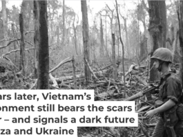 During the Vietnam War, the U.S. bombed and defoliated vast areas of forest and protective mangroves. AP Photo